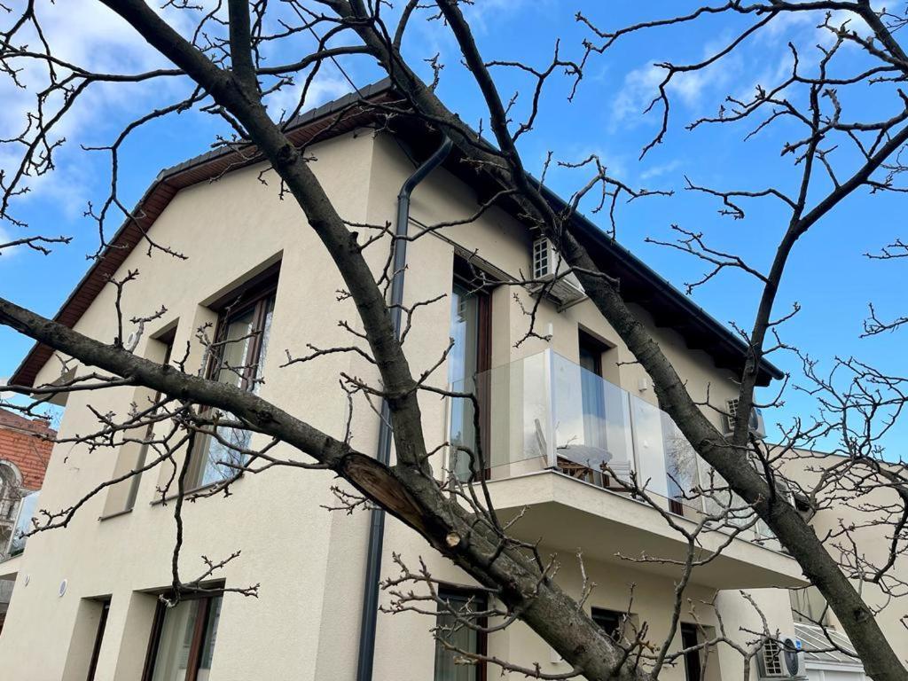 Nature In The City Lower Storey Bestern Szeged Exteriör bild